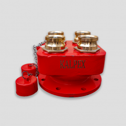 Four Way Fire Brigade Inlet Valve