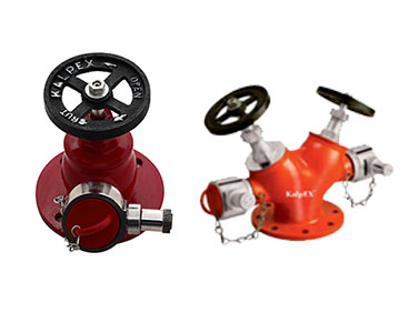 Landing Valves